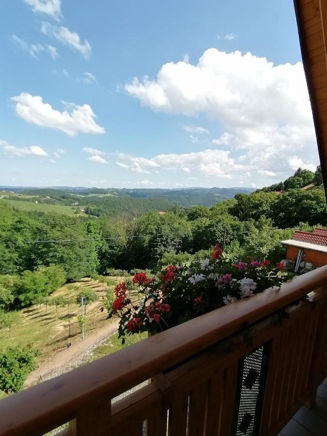 Ferienwohnung Stoff Kitzeck im Sausal Dış mekan fotoğraf