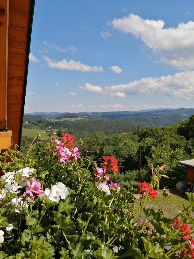 Ferienwohnung Stoff Kitzeck im Sausal Dış mekan fotoğraf